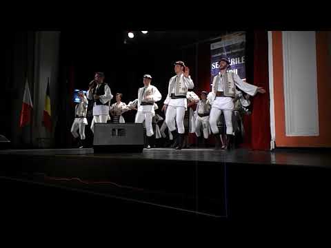 radu gota la serbarile unirii alba iulia 2017