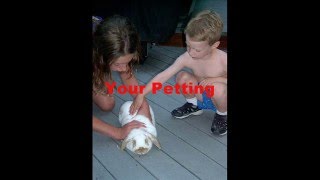 Trivium - Suffocating Shite **REMIX**