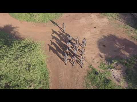 Endangered Species Protection Project