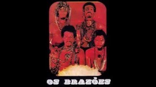 Os Brazões - Volks Volkswagen Blue