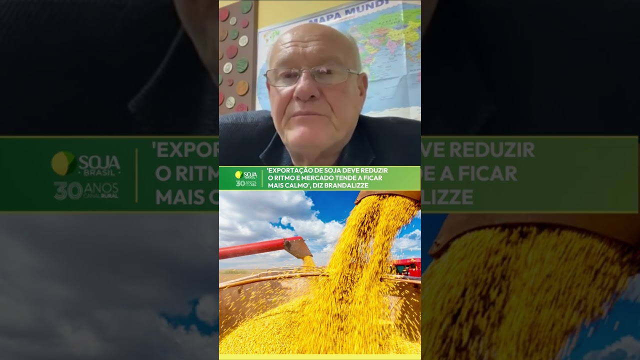 'Exportação de soja deve reduzir o ritmo e mercado tende a ficar mais calmo', diz Brandalizze