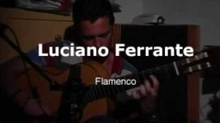 Luciano Ferrante Flamenco 2002