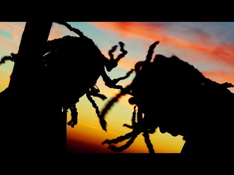 OMB Iceberg - Lights Off feat. OMB Peezy [Official Video] (Dir. by @DylVisual)