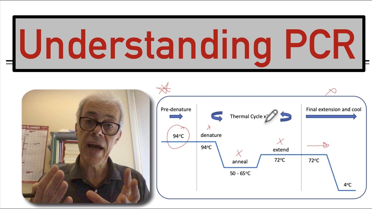 Understanding PCR
