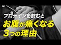 【Q&A】プロテインを飲むとお腹を壊す3つの原因と対処法【ビーレジェンド プロテイン】