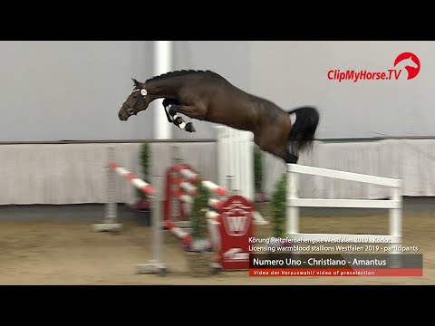 Hengst v. Numero Uno - Christiano - Amantus