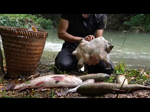 Hunting Fish by the Stream and Unexpectedly Caught a Strange Creature That Shocked Everyone!
