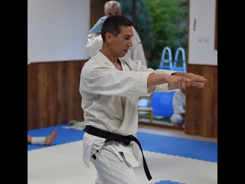 Junro Nidan - IJKA Asai Ryu kata