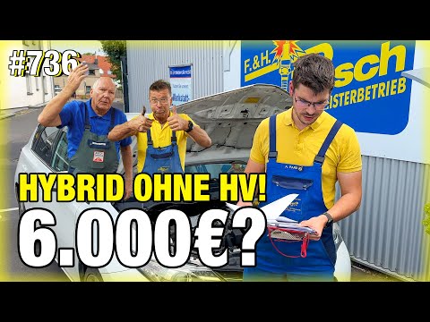 Toyota Hybrid without HIGH VOLTAGE! €6,000?! 😡😳 | VW KÜBELWAGEN – Turn signals broken, but hazard...