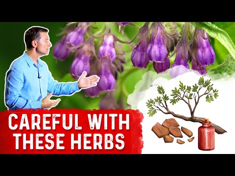 Forget the Coffee Do Wheat Grass Juice for ENERGY