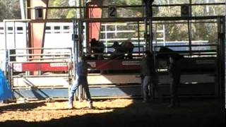 preview picture of video 'sankey rodeo school new caney tx 12/18/10'