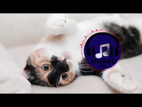 Wydron - Colossus [Metalstep]