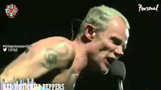 Red Hot Chili Peppers - Get Off Your Ass and Jam (Funkadelic) [Live, Lollapalooza - Argentina, 2014]