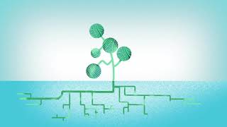 The future of international cyber capacity building