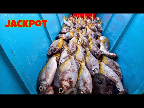 vlog373- P2- Jackpot sa Silay | Catch and cook