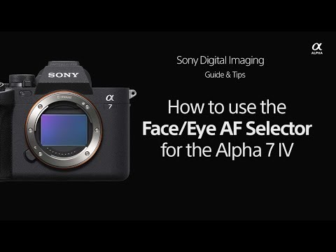 Sony  |  How To's  |  How to use the Face/Eye AF Selector for the Alpha 7 IV