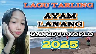 Download lagu LAGU TARLING AYAM LANANG DANGDUT KOPLO mp3