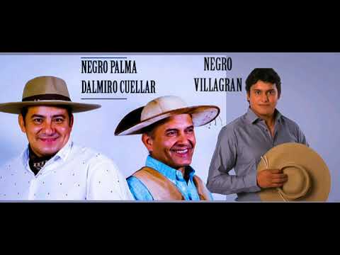 Negro Palma ft Dalmiro Cuellar Y Negro Villagran - Coplas Chaqueñas