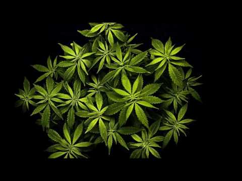 Bolacho - subelo prendelo