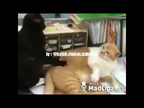 Mak BOHAL (Batak Medan Dubbing)