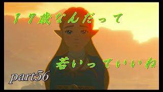【ゼルダの伝説ブレスオブザワイルド】本格的に記憶の場所巡り【実況プレイ】part56