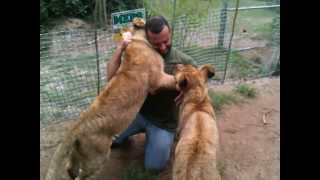 Fortunately, the cubs enjoyed his affections.