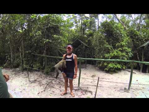 Monkey Forest EcoPark Amazon