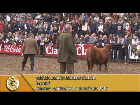 26-07-17 Jura Angus Ternero Menor - Palermo.