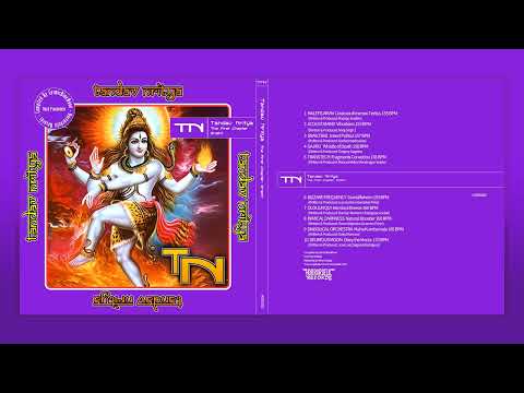 09. Diabolical Orchestra - Maha Kumbamela 165 BPM