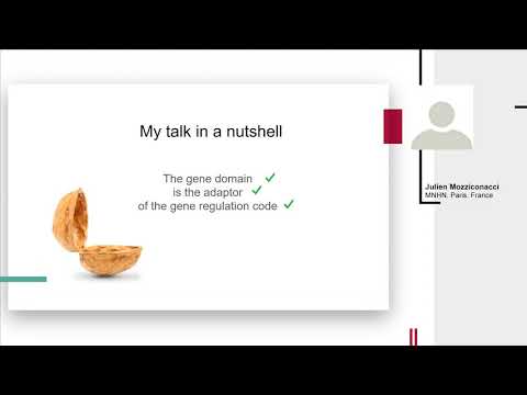 J. Mozziconacci, "The 3D genome shapes the regulatory code of developmental genes"