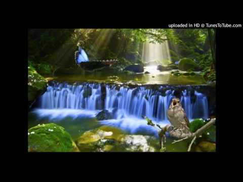 Today's Tango Is... Mi Ambición - Roberto Firpo 27-02-1927