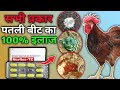 मुर्गी में लाल पतली सफेद बीत Diarrhea का एक �