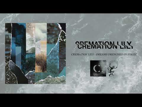 Video thumbnail for Dreams Drenched in Static