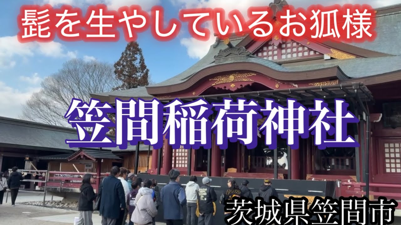 髭を生やしているお狐様がいらっしゃる「笠間稲荷神社」へ参拝して来ました。