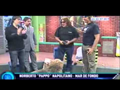 PAPPO ABELARDO EL POLLO