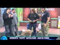 PAPPO ABELARDO EL POLLO