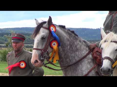 Kavallerie Meisterschaften 2017 Teil 2
