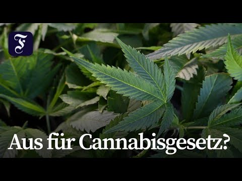 Drug Commissioner: “Dealers in white coats”