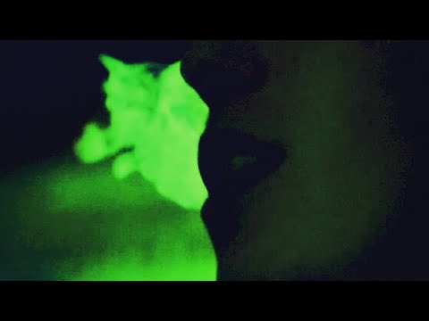 Schmrk x Lunar - Tervezz újra (Dir. by Wolfshoot)