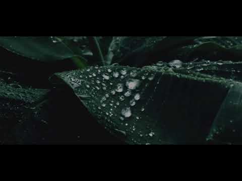 Mburrja me të mirat që të ka dhënë Allahu - Hoxhë Sadullah Bajrami