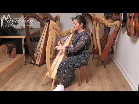 Muzikkon Trinity Harp 27 String Ashwood