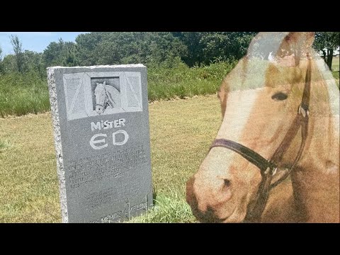 Mr. Ed's Haunted Grave - The Talking Horse