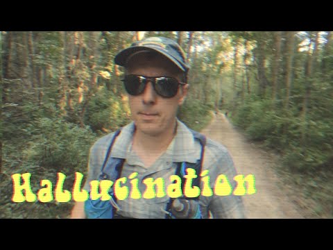 Hallucination - 2022