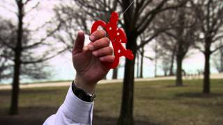 Are There Parallel Universes?