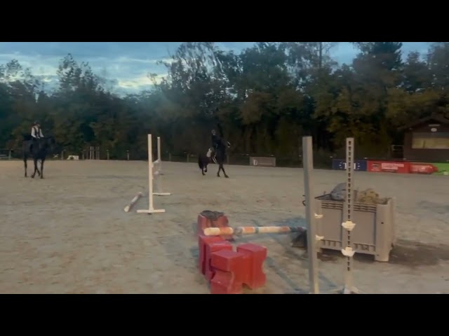 Alisja, jument très pratique !