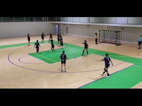 RK TURBINA vs ŽRK SLOGA ( Jedna od najluđih završnica rukometne utakmice)