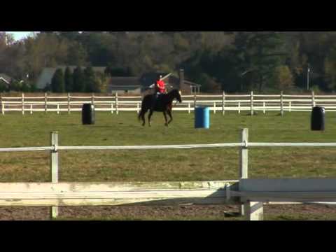 Importance of Anticipation in Barrel Racing