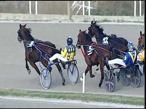 Napoli Trotto 16/12/2022 - 3ª corsa