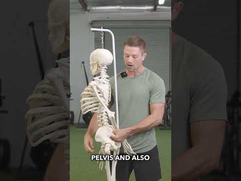 The Best Tight Psoas Release #psoas #backpain #lowbackpain #stretching