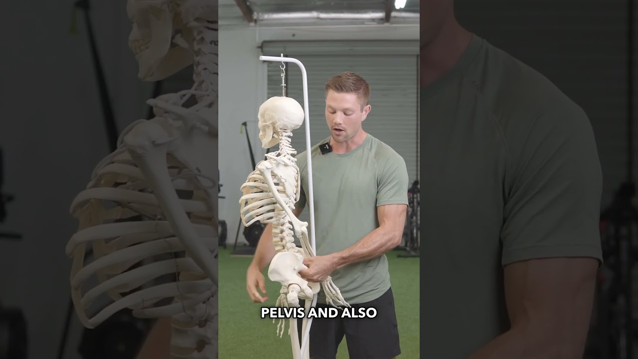 The Best Tight Psoas Release #psoas #backpain #lowbackpain #stretching